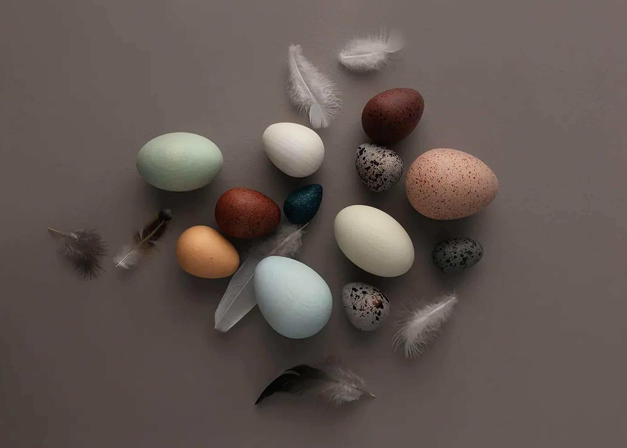 Wooden Bird Eggs + Basket - Image 3