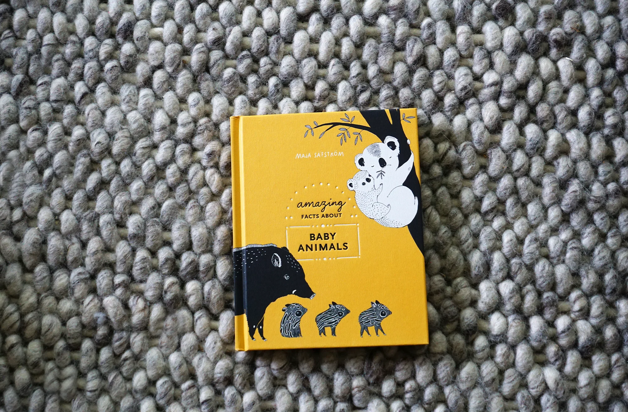 Amazing Facts About Baby Animals - Image 3