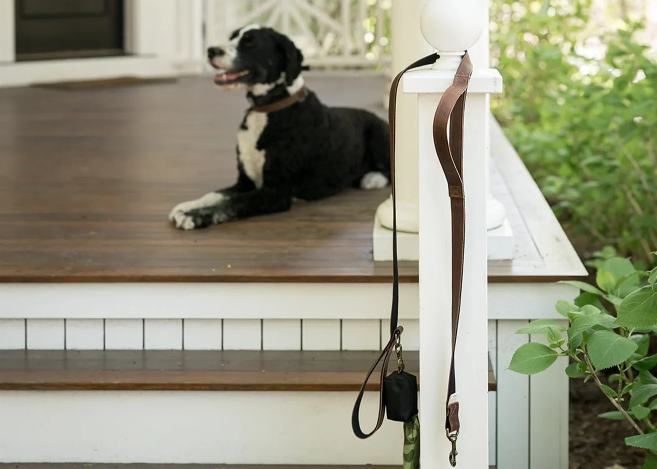 Dog Leash & Poop Bag - Image 3