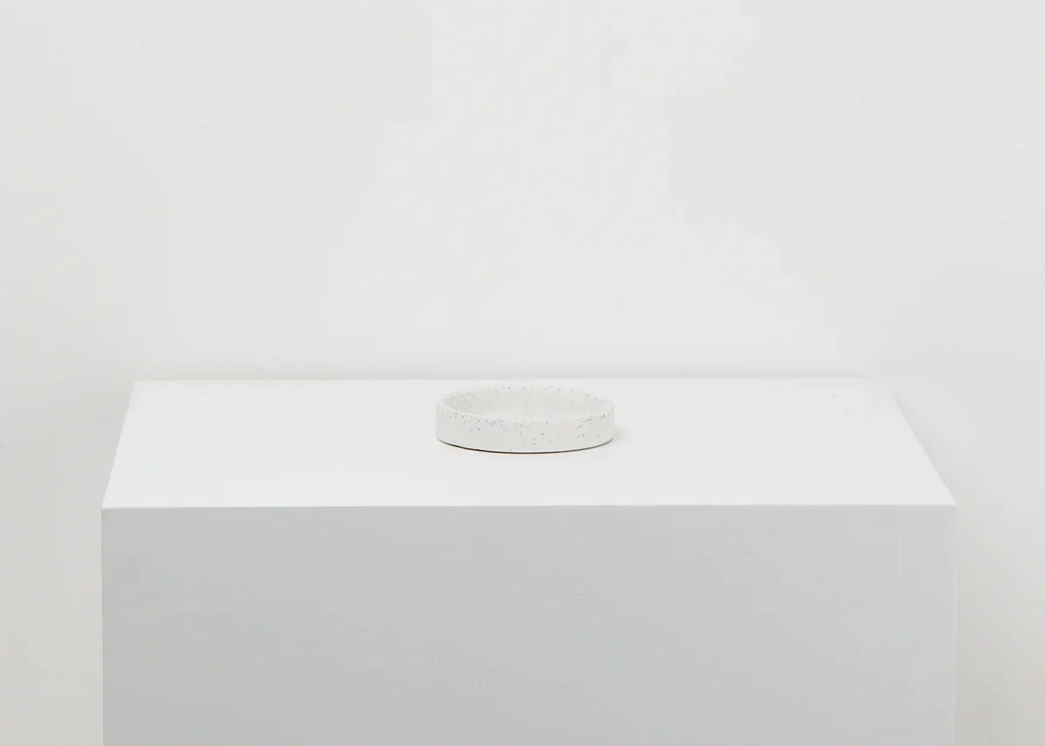 Terrazzo Tray - Small White Agave Speckle - Image 4