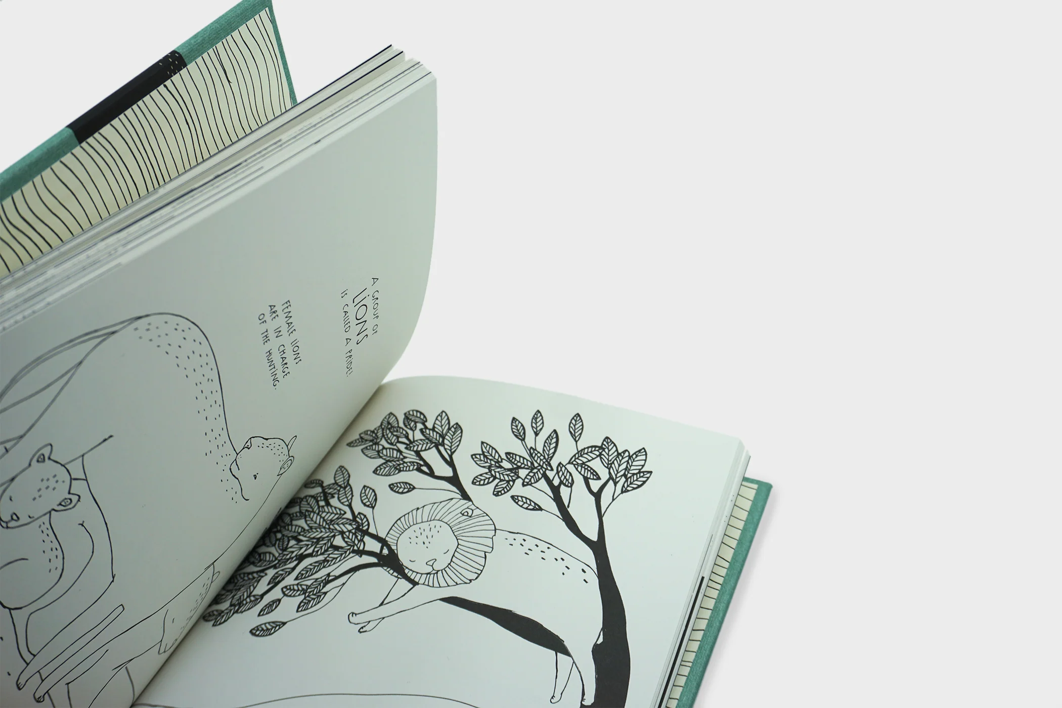 The Illustrated Compendium of Amazing Animal Facts - Image 4